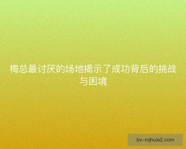 梅总最讨厌的场地揭示了成功背后的挑战与困境