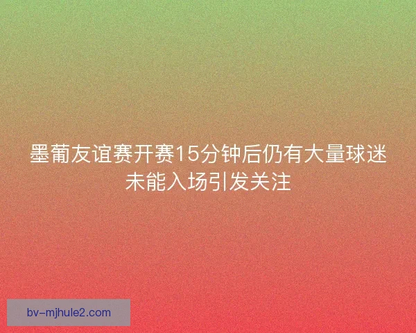 墨葡友谊赛开赛15分钟后仍有大量球迷未能入场引发关注